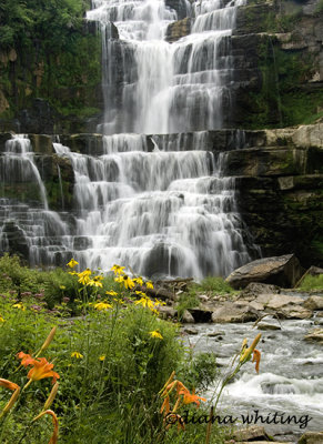 Chittenango Falls 2