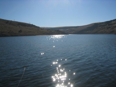 Boat 28.JPG