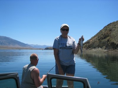 Fish 006.jpg