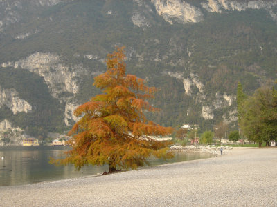 Riva del Garda 2005