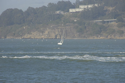 SF_jn07_DSC0117.jpg