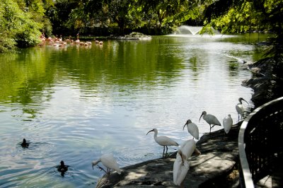 Miami Metrozoo