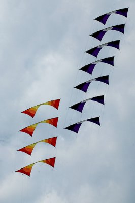 Stunt Kites