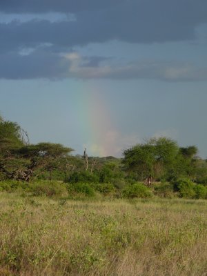 A rainbow after a quick and short rainfall