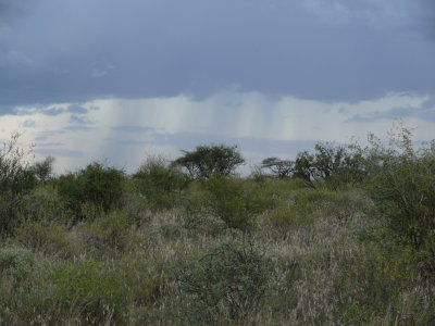 A scenic rainshower way over there!