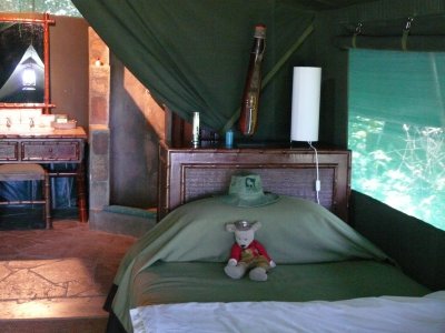Inside of the tents at Kichwa Tembo - that's Spunky on the bed - he's been to 44 countries with us.  He loves Africa too.