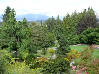 The gardens at Queen Elizabeth Park