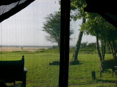 The view from our tent at Kichwa Tembo