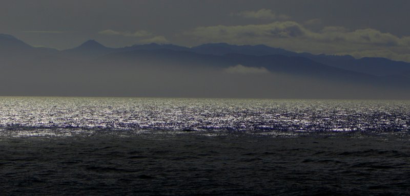 Fog into light on Straits of Juan de Fuca