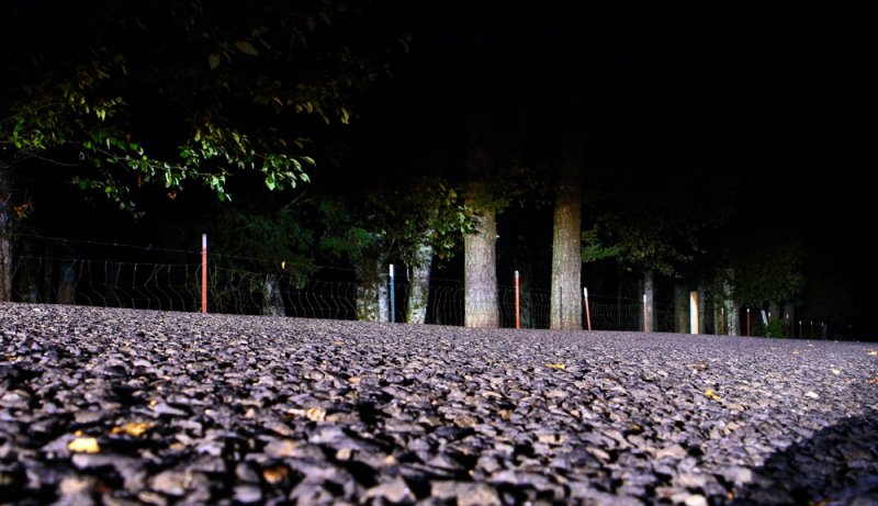 Headlights at night on country road .JPG