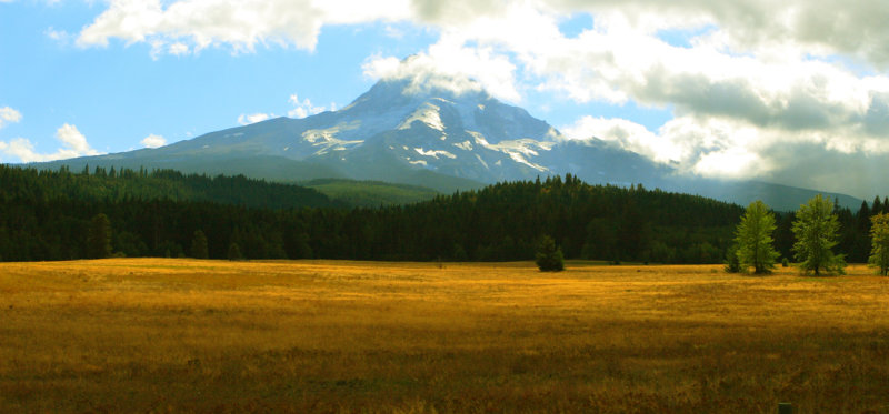 Hay field  just east of Mt. Hood, Oregon USA