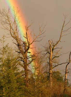 February rainbow behind the barn at Eagle View.jpg