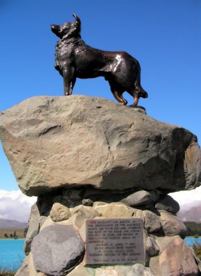 Statue of Collie at head of Lake Tekapo NZ.jpg