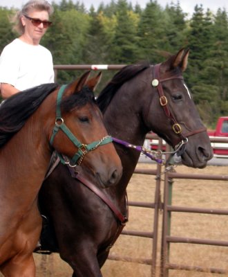 Terry on Midnight ponying Sissy 