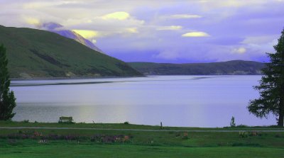 Lake Tekapo early morning  .JPG