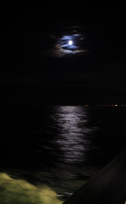 Moonlight on the water crop .JPG