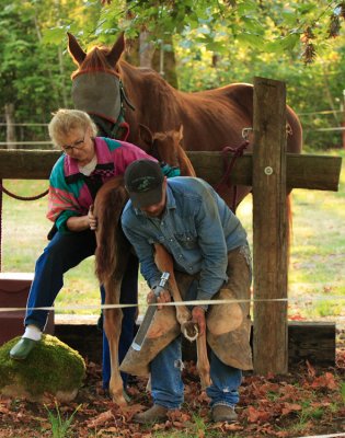 First time for the farrier