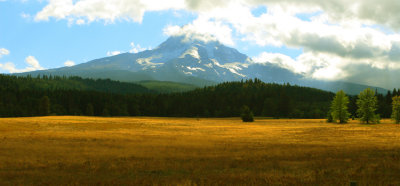 Hay field  just east of Mt. Hood, Oregon USA
