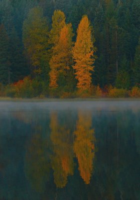 Fall colors
