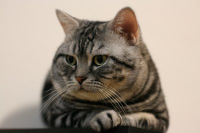 ½s