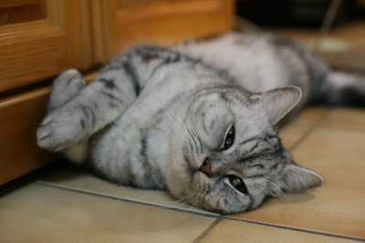 Aڲ֤FաK