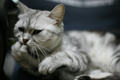 n@_ٶܡH