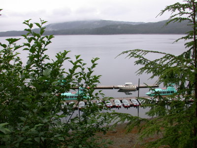 DSCN2461.JPG