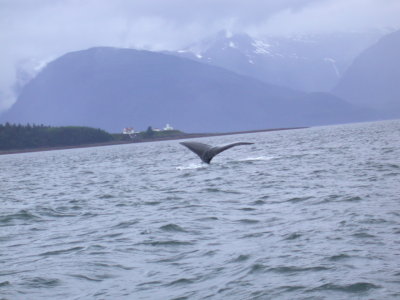 DSCN2553.JPG
