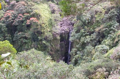 On the Road to Hana - The Lower Puohokamoa Falls