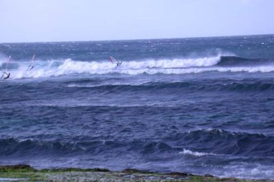 Kanaha Beach Windsurfers