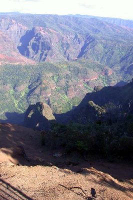 Waimea Canyon from the Pu'u Ka Pele Lookout