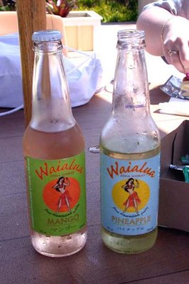 Local Bottles of Soda