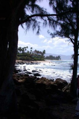 Puipukea Beach Park