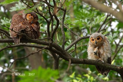 Time with Parent