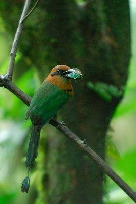 20070625 - Costa Rica - 337.jpg