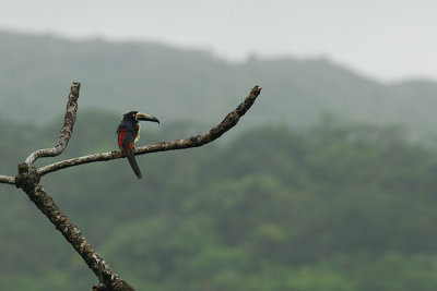 20070626 - Costa Rica - 529.jpg