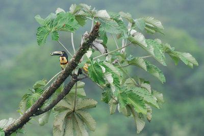 20070626 - Costa Rica - 545.jpg