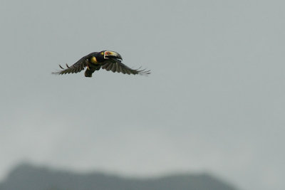20070626 - Costa Rica - 554.jpg