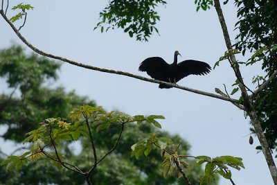 costa_rica
