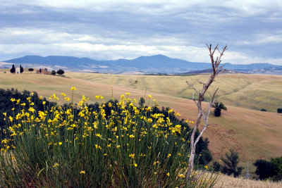 gTuscan scene 06.jpg
