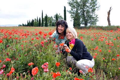 mmPoppies-Pat_Ginny298.jpg