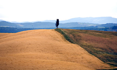 Tuscany 2007