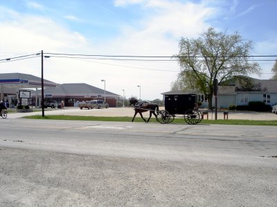 Amish Buggy vs Gasoline 3525.JPG