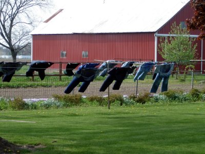 Amish Laundry 3532.JPG