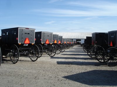 Amish buggy sales? 3567.JPG