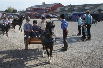 Horse drawn cart. 3576.JPG
