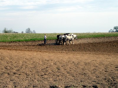 Field plowing 3579.JPG