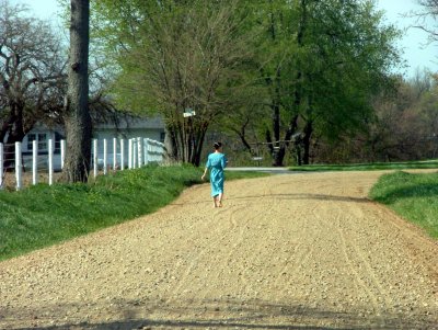 Amish lane. 4457a.JPG