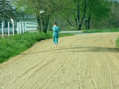Amish lane. 4458.JPG