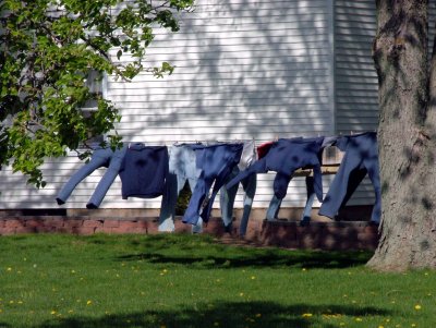 Amish laundry 4461.JPG